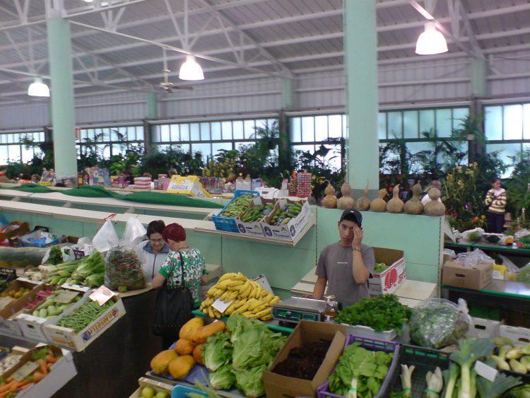 Mercado Agrícola Vega de San Mateo.