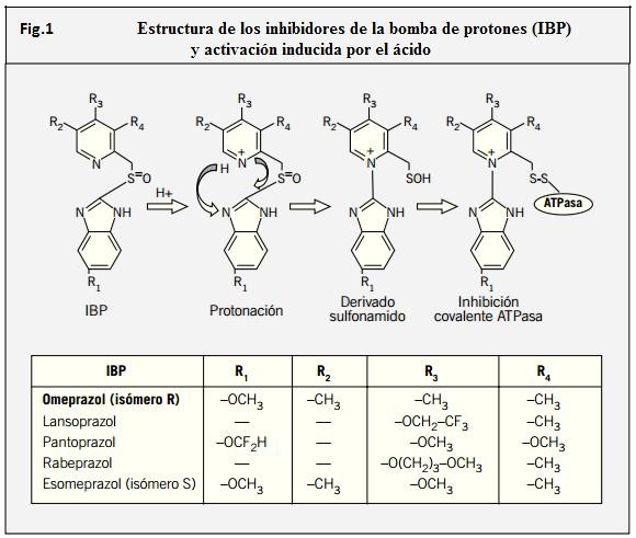 MECANISMO DE ACCIÓN DE LOS INHIBIDORES DE LA BOMBA DE PROTONES (IBP) Todos los IBP comercializados en España comparten una base química común (fig.