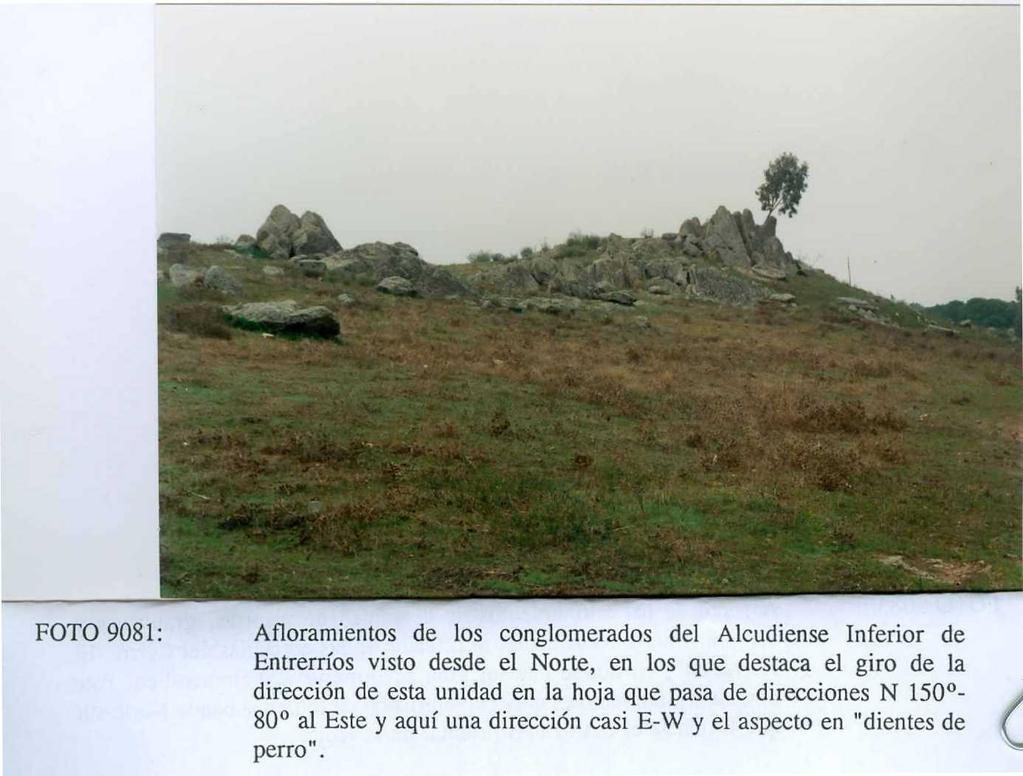 FOTO 908 1: Afloramientos de los conglomerados del Alcudiense Inferior de Entrerríos visto desde el Norte, en los que destaca el giro de la