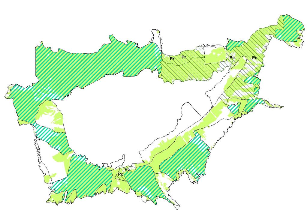 CORONA FORESTAL (Tenerife) Valores porcentuales (%) Corona Forestal
