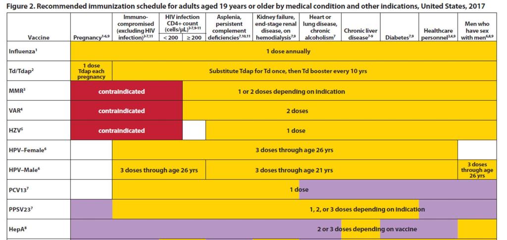 Calendario de vacunación para adultos 19 años,