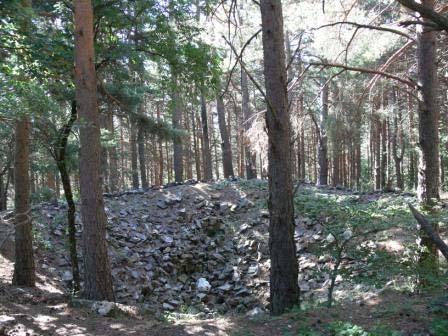 Camino llano y cómodo en el hayedo de Peña Roya. (Foto MMF). El bosque ha cambiado. Hemos salido del hayedo para entrar en el pinar.