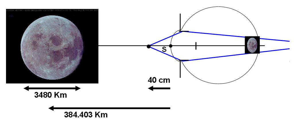 Figura 15.2.1.2. El poder de acomodación del ojo es la máxima variación de su potencia al pasar de enfocar objetos próximos a objetos lejanos.