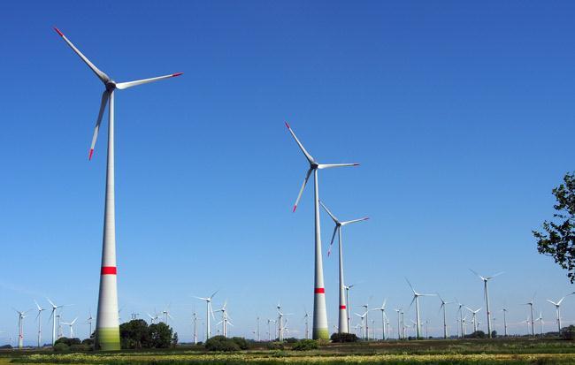 Proyecto en Alemania: Parque Eólico Dornum Potencia instalada: 37 MW Entrada en operación en Octubre de 2014 Cliente: Empresa Windpark Dornum Projekt GmbH &