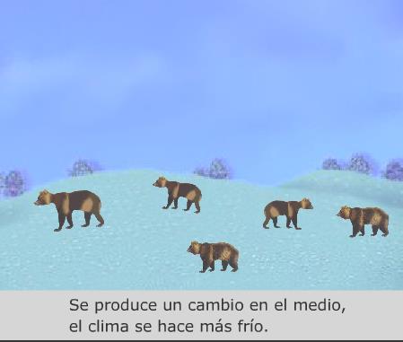 El caso de los osos de pelo largo Ahora bien, imaginemos que se produce un cambio climático, la temperatura se hace mucho más fría en cuestión de pocos años; este cambio ambiental va a
