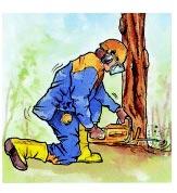 Como trabajador forestal, a pesar del aumento de la mecanización de las faenas, usted tiene un trabajo riesgoso y pesado.