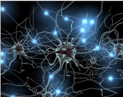 Antecedente: Santiago Ramón y Cajal, Premio Nobel de Medicina 1906, demostró en 1928 que las neuronas se comunican mediante zonas especializadas de contacto,