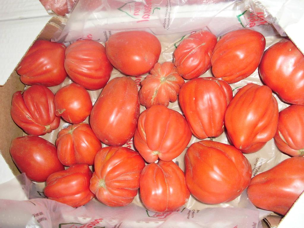 Su color es intenso, brillante, rojo pero con una tonalidad rosáceo en su interior, son tomates muy delicados, perecederos por lo que no es habitual encontrarlos lejos de sus zonas de cultivo.