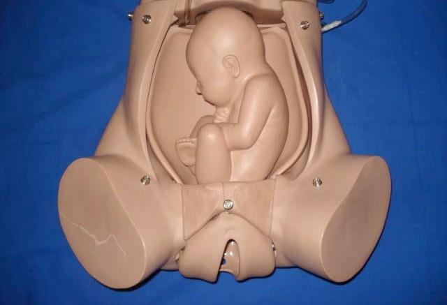 materna. Se describen 4 términos: situación, presentación, actitud y posición. a) Situación fetal: describe la relación entre el eje longitudinal del feto y el de la madre.