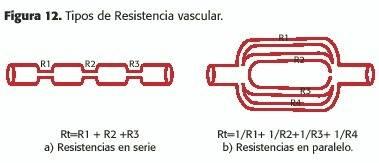RESISTENCIA EN SERIE R TOTAL= R ARTERIA + R ARTERIOLA + R CAPILAR + R VÉNULA + R VENA EN