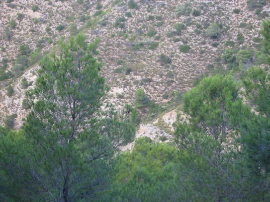 Actualmente solo es visible, desde el ferrocarril de la Mina la Española, situada al otro lado del barranco. Este malacate tenía un descenso de 60 m.