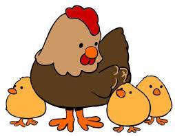 LA GALLINA La GALLINA es un ave. Las aves ponen huevos y de los huevos nacen las crías que se llaman pollitos. El macho se llama gallo. Su cuerpo está cubierto de plumas, tiene pico, alas y dos patas.