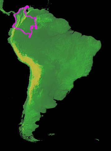 EL POBLAMIENTO HUMANO INICIAL DEL NOROCCIDENTE DE SUR AMÉRICA El NO de Sudamérica representa una región que cuenta con importantes evidencias acerca del poblamiento pleistocénico y debido a su