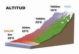 Variación altitudinal de la temperatura La La disminución disminución de de la la temperatura temperatura con con la la altitud altitud (en (en promedio promedio -0.6-0.