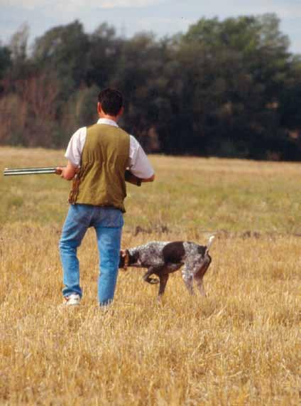 Cada año se pueden establecer cupos de captura por cazador y día de determinadas especies 1.5.