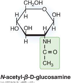 más carbonos, reaccionan con grupos hidroxilos de la misma molécula para formar