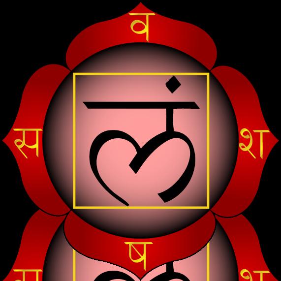 Primer Chakra (Muladhara) Localización: entre el ano y los genitales Color: Rojo Piedras: Rubí, Hematíes, Sanguinaria, granate, etc Nota Musical: DO El chakra base o raíz es el de conexión con la