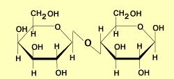 Disacáridos Se obtienen por: Unión de hexosas por un enlace -glucosídico C 6 H 6 C H + H enlace -glucosídico Tipos de enlace Enlace monocarbonílico, se establece entre el C anomérico y un C no