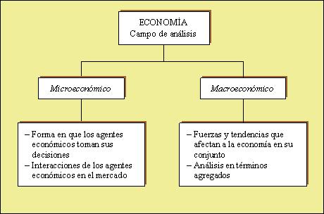 La microeconomía se ocupa del comportamiento individual de las unidades económicas y de sus conexiones.