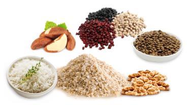 Los alimentos que contienen proteínas y que les falta aminoácidos esenciales se llaman proteínas incompletas, por lo general las proteínas vegetales.