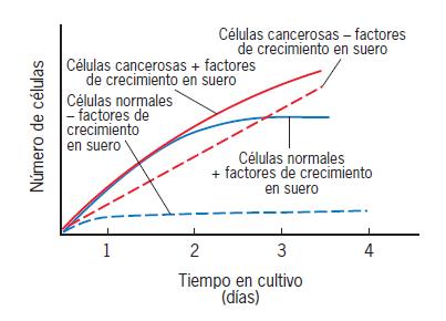 Figura 16.4 Efectos de la privación de suero en el crecimiento de las células normales y las transformadas.