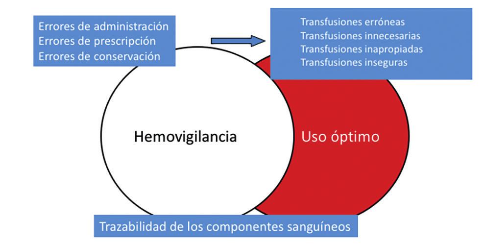 Fundamento e interés de los sistemas de Hemovigilancia si entendemos como tal el uso seguro, eficaz y eficiente de la sangre y los componentes sanguíneos (Figura 6).