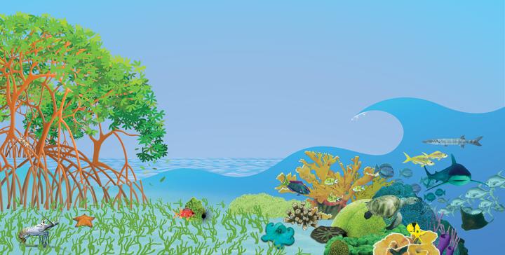 Los corales forman un ecosistema Los Arrecifes Coralinos conforman uno de los ecosistemas biológicamente mas complejos y diversos del planeta