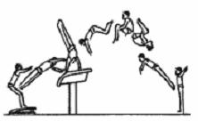 CATEGORÍA CADETES NIVEL A SALTO OBLIGATORIO TSUKAHARA AGRUPADO Altura de la mesa de salto: 1,25 m. ELEGIR UNO DE LOS DOS SALTOS OPCIONALES 1er.