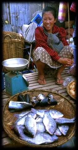 Más de 500 millones de personas dependen para su sustento, directa o indirectamente, de la pesca y la acuicultura.