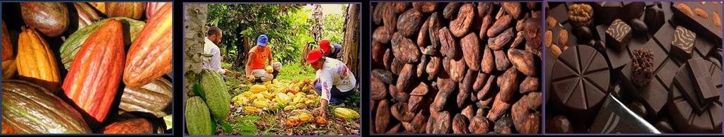 ESTAMOS AVANZANDO EN Una estrategia para el desarrollo sostenible de la cadena de valor del cacao Plan de desarrollo regional, con inclusión social y la economía verde.