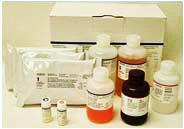 Evaluación de desempeño del kit ELISA PRRS Fluidos orales Serum Sample