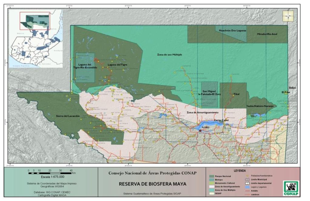 La Reserva de Biosfera Maya RBM- La RBM fue creada el 05 de Febrero de 1990 mediante Decreto 05-90 del Congreso de la República Garantizar la permanencia de uno de los conjuntos más sobresalientes de