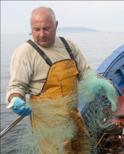 cetáceos espanta a los bancos de pesca, impidiendo su captura por parte de los marineros. En el caso de Cantabria, el porcentaje de esta respuesta aumenta hasta el 79,5%.