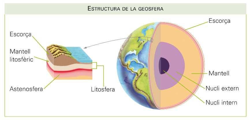 La geosfera La geosfera està dividida en 3 capes: Escorça Mantell Nucli.