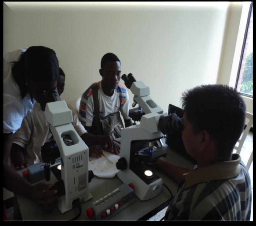 Acceso al diagnóstico oportuno y tratamiento adecuado, seguro y eficaz. Foto: Capacitación a microscopistas de malaria. Lugar: Buenaventura, Valle. 2011.