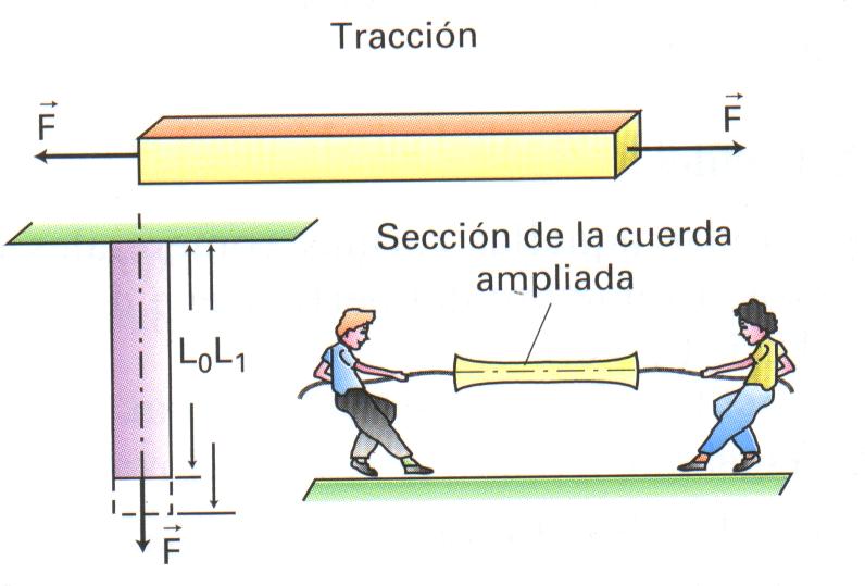 Tracción: la fuerza tiende a alargar el objeto. III.