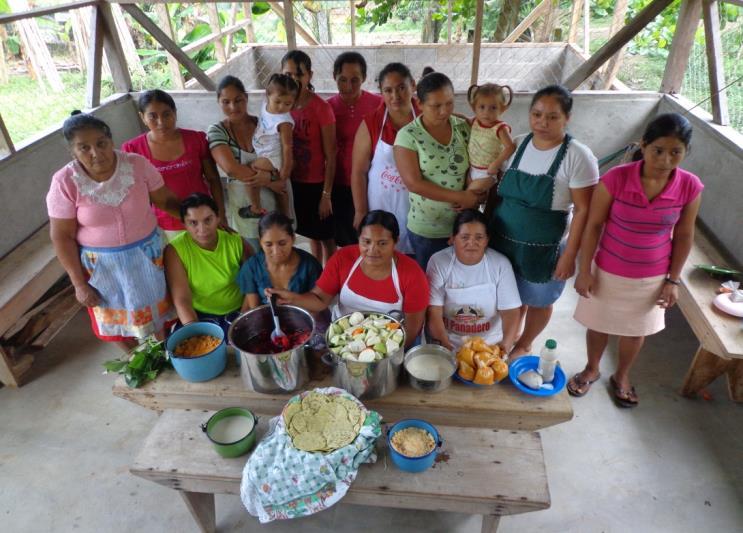 6.3. Proyecto: Impulso de iniciativas agro empresariales para mejorar la productividad y competitividad de productores de cacao del corredor maya, en el occidente hondureño La Fundación ETEA para el