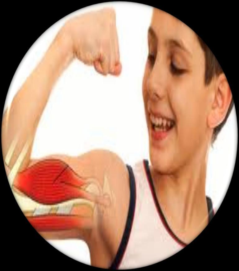 Músculo Utiliza varios combustibles: glucosa, AG y cuerpos cetónicos. En reposo AG es fuente de energía; en ejercicio intenso lo es la glucosa. Carece de enzima glucosa 6- fosfatasa.