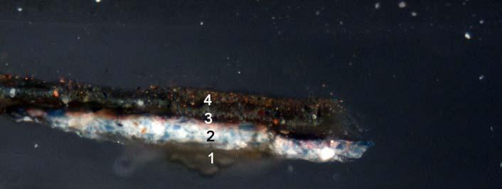 Figura 2 Muestra: VSB-2 Descripción: Oscuro, castillo. animal. Su espesor es superior a 140 µm.