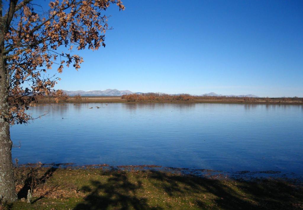 Laguna de Malasnoches, en Villazando de