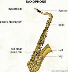 The oboe: it consist of a slightly conical tube, approximately 60 centimetres, that ends in a small bell.