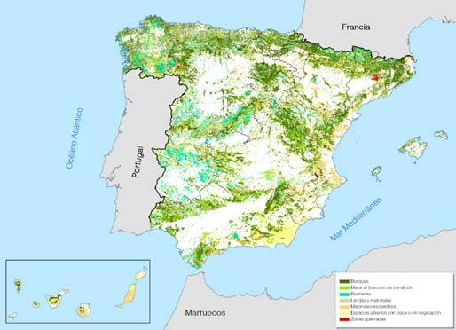 Distribución espacial de las clases forestales en 2000 principales tendencias observadas ZONAS FORESTALES Los ecosistemas forestales, son los que han experimentado tasas mayores de cambios de uso