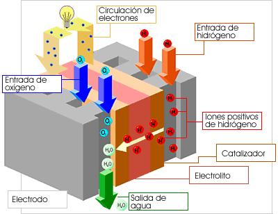 Celdas de Combustible La celda de combustible es un dispositivo que produce electricidad y agua mediante un proceso inverso a la electrólisis.