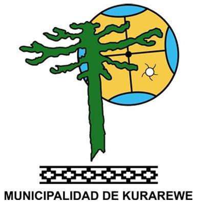 Municipalidad de Curarrehue, IX Región de la Araucanía Secretaría Municipal ACTA REUNIÓN EXTRAORDINARIA Nº 004 
