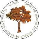 (UMSEF) Dirección de Bosques Subsecretaría de Planificación y Política Ambiental Secretaría de