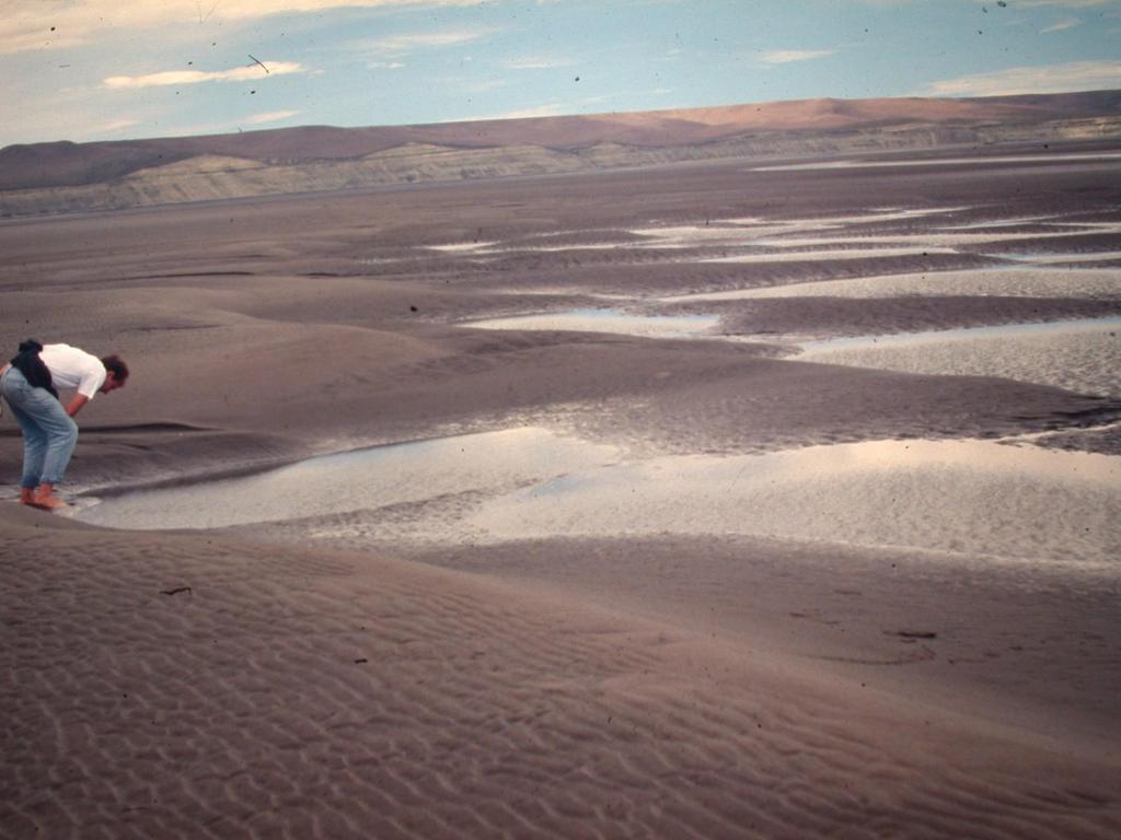 Baja marea en la ría de Gallegos (formas