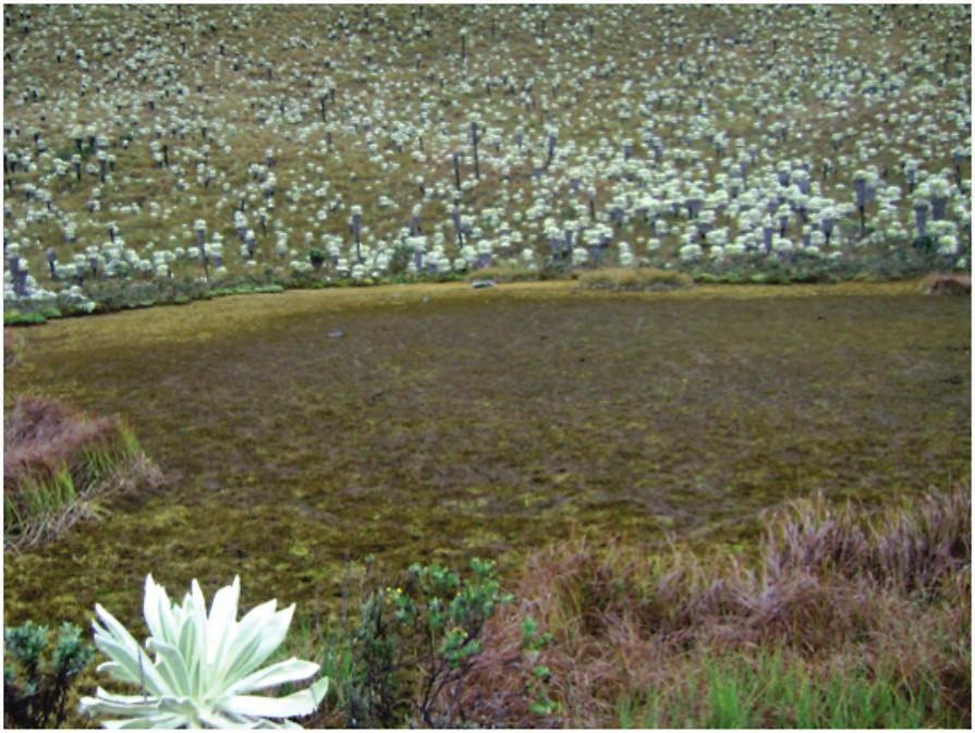Análisis de Vulnerabilidad ante Riesgos Naturales Hidrometeorológicos en las Áreas Protegidas del Ecuador Continental Humedal afectado