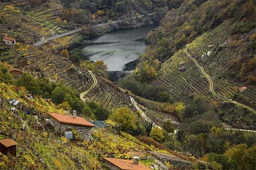 Las 5 denominaciones de origen vitícolas gallegas La cultura y el arte del vino es una tradición milenaria en Galicia, donde se elaboran algunos de los mejores caldos de la península.
