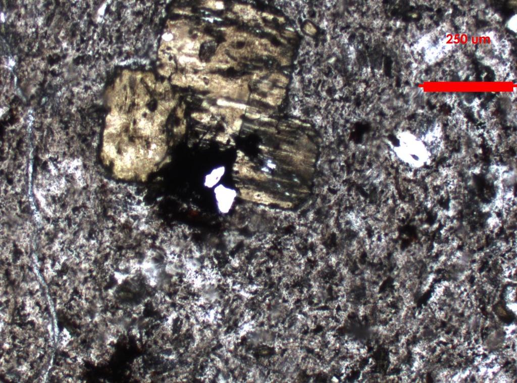 Feldespato potásico: No se observa. Minerales ferromagnesianos (10%): Se observan secciones basales de piroxeno y anfíbolas, la cuales han sido alteradas a epidota.