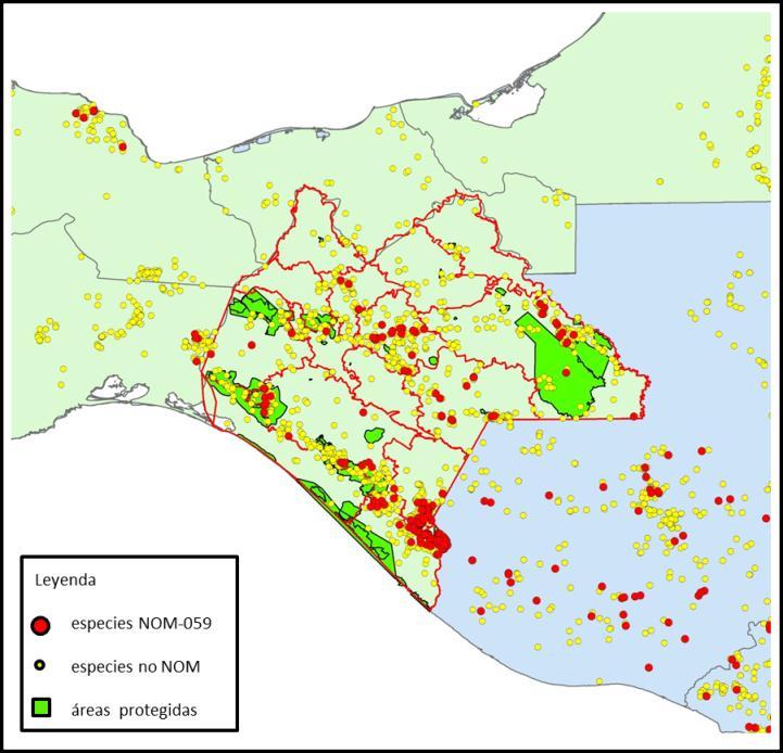 Figura 2. Distribución de las orquídeas del Soconusco en el estado de Chiapas y su representatividad en Áreas Naturales Protegidas, usando la base de datos ya depurada.